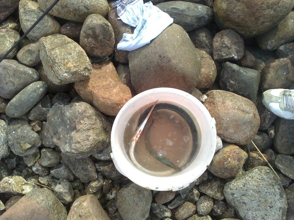 prin toate colturile lumii - danemarca 2013